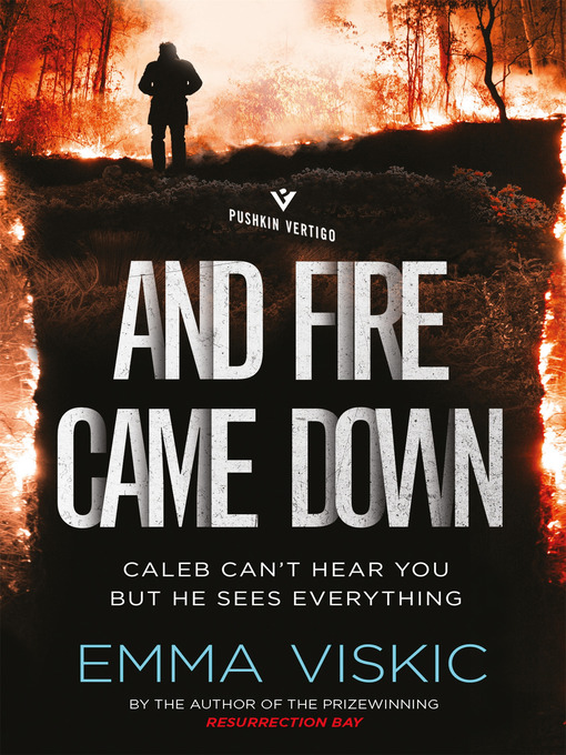 Title details for And Fire Came Down by Emma Viskic - Available